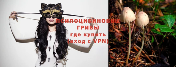 МДПВ Кодинск