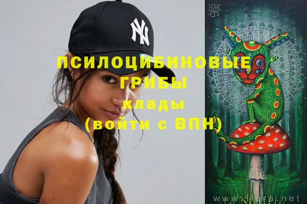 бошки Инта