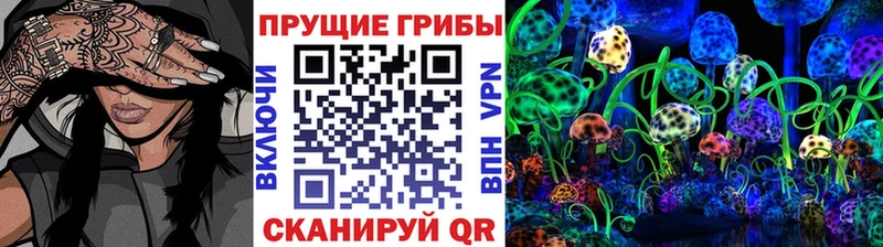 где можно купить   Костерёво  KRAKEN рабочий сайт  darknet состав  Псилоцибиновые грибы MAGIC MUSHROOMS 